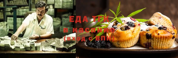 эйфоретик Бородино