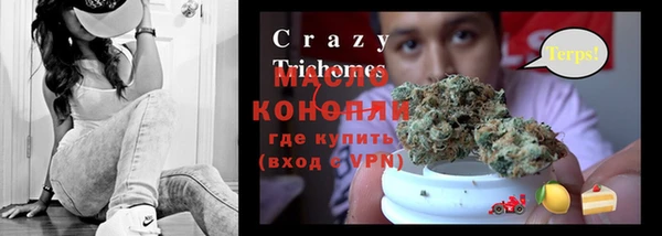эйфоретик Бородино