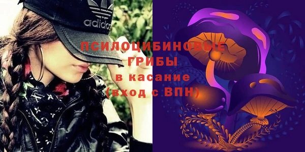 spice Бугульма