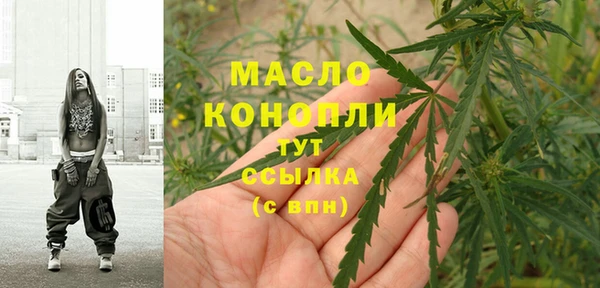 гидра Богородск